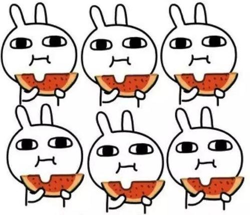 吃瓜笨蛋,揭秘娱乐圈那些不为人知的幕后故事