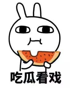 吃瓜笨蛋,揭秘娱乐圈那些不为人知的幕后故事