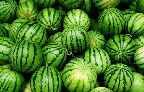 吃4个瓜,四瓜盛宴