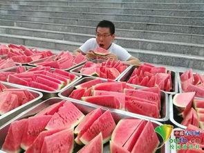 成都吃瓜在哪吃,探寻地道美食的瓜田乐园