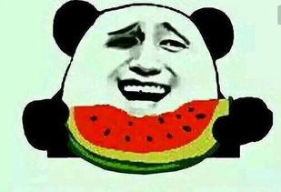 吃瓜蒙主东北,揭秘东北方言中的趣味与智慧