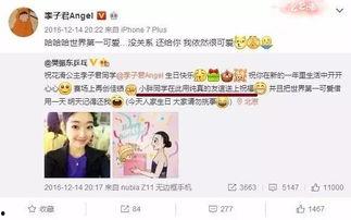 吃瓜公举小说后续,宫廷风云再起