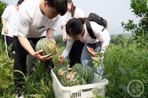 毕业午夜的学姐吃瓜吃瓜,学姐的瓜田盛宴