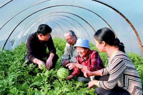 新疆地里吃瓜,探寻新疆独特地理环境下的甜蜜奇迹