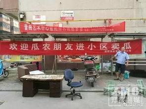 吃瓜小区门口,揭秘邻里八卦背后的温馨故事