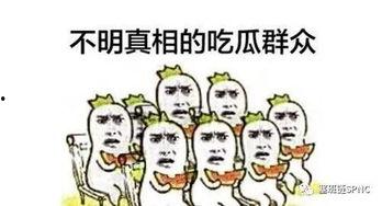 吃瓜群众不懂吗,网络热词背后的文化现象