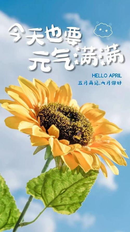 职场夏季吃瓜文案,轻松一夏，职场小趣谈