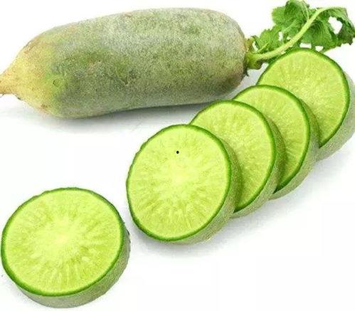 吃黄河蜜瓜可以吃萝卜吗