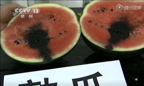 吃瓜的照片图文,揭秘吃瓜群众的欢乐瞬间