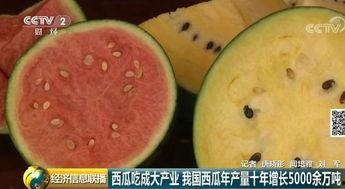 吃瓜群众大星,吃瓜群众的趣味生活与独特视角