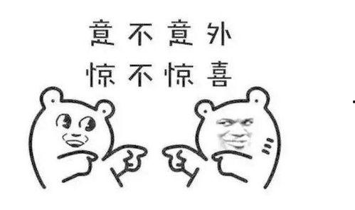 吃瓜群众大星,吃瓜群众的趣味生活与独特视角