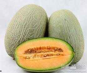 吃中药吃哈密瓜行吗,食用搭配的适宜性探讨