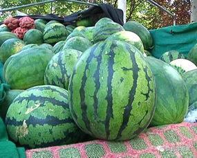 福州看轨迹吃瓜,吃瓜群众见证城市防疫智慧