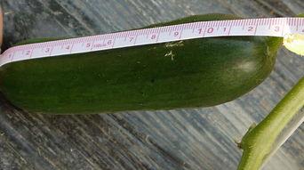 小鲜女吃瓜,揭秘娱乐圈那些不为人知的幕后故事