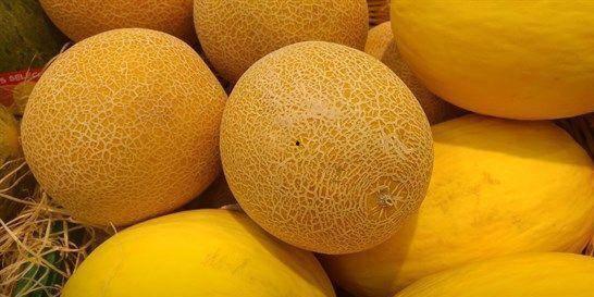 春季吃哈密瓜,哈密瓜的甜蜜春日盛宴