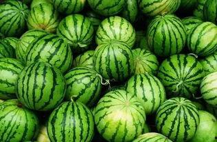 浙财吃瓜群,揭秘财经圈幕后故事