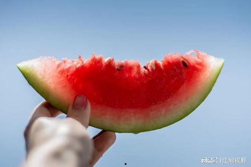 自由吃瓜吃瓜,畅享夏日清凉时光