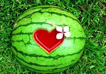 梦见别人给你瓜吃,揭秘瓜食梦境的深层寓意