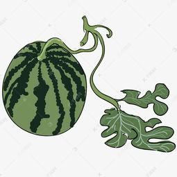 大瓜吃瓜素材下载,揭秘娱乐圈幕后故事