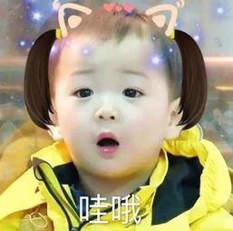 瑶瑶吃瓜表情,揭秘网络红人的魅力瞬间