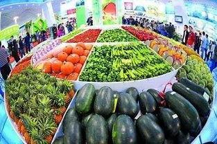 哈尔滨漫展吃瓜,吃瓜群众现场直击！