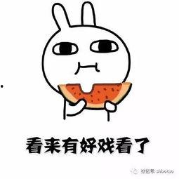 善于吃瓜,揭秘那些年我们吃过的瓜