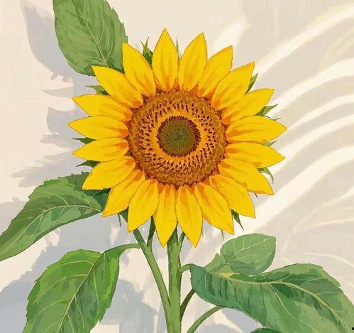 治愈系头像吃瓜,吃瓜群众的甜蜜解压神器