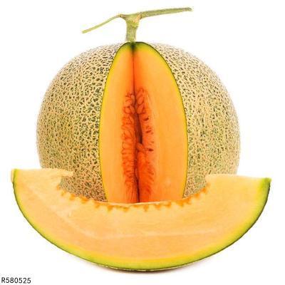 苍蝇吃哈密瓜吗,自然界的奇妙互动