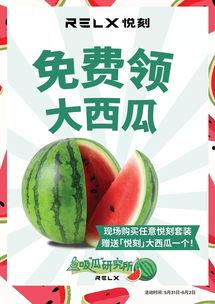 吃瓜299,揭秘吃瓜299背后的秘密与魅力