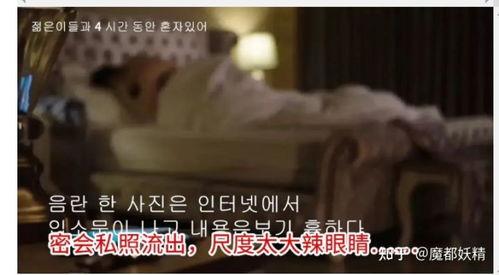 明星吃瓜合集视频,明星吃瓜合集，笑料百出幕后故事大公开