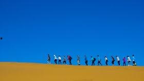 吃瓜配音歌曲有哪些,趣味横生的声音盛宴