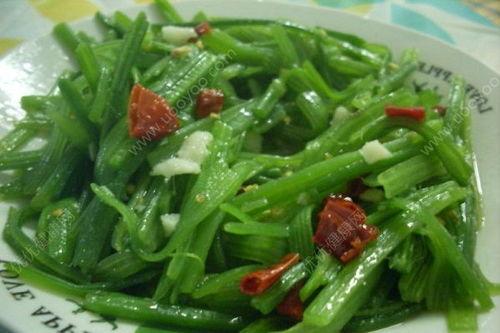 藤子瓜咋吃,解锁美味新体验