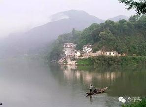 龙泉山吃瓜,吃瓜群众的欢乐时光