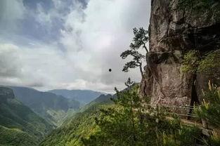 龙泉山吃瓜,吃瓜群众的欢乐时光