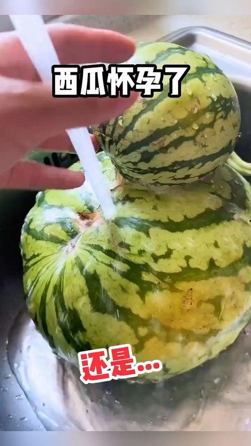 搞笑特效吃瓜,特效吃瓜，带你领略欢乐盛宴！