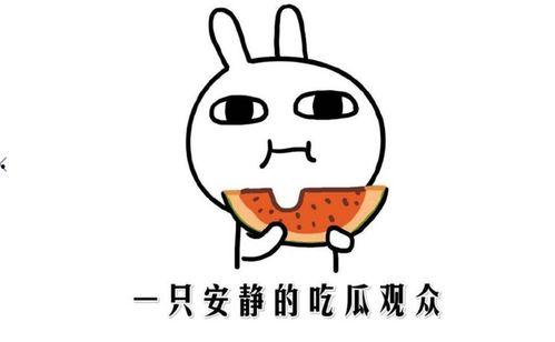 吃瓜的正确方式,解锁正确观瓜姿势，畅享夏日清凉时光