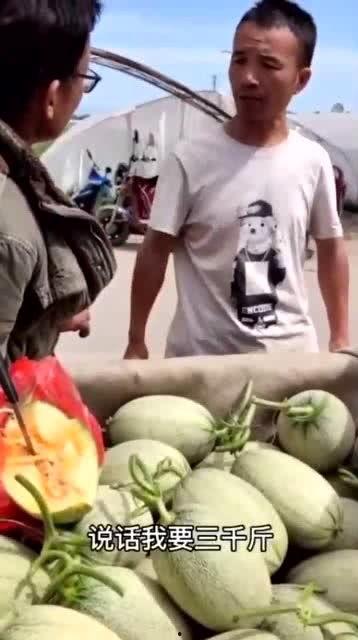 老板吃同事的瓜,职场风云再起