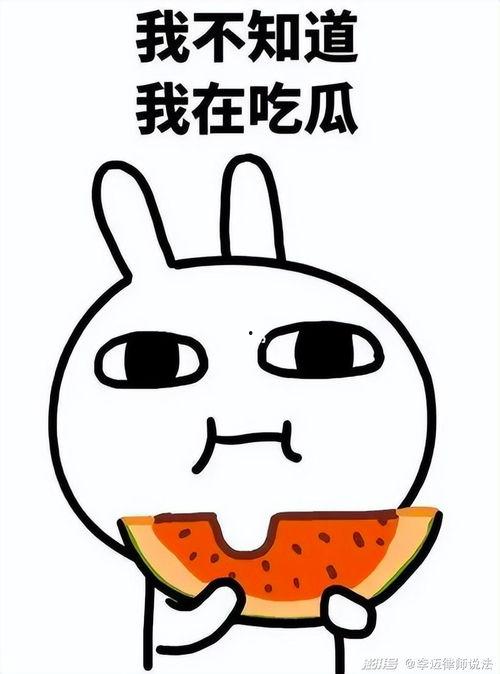 吃瓜q群359952,一场网络社交的狂欢盛宴