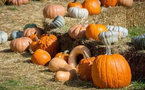 北联吃瓜,揭秘娱乐圈背后的那些事儿