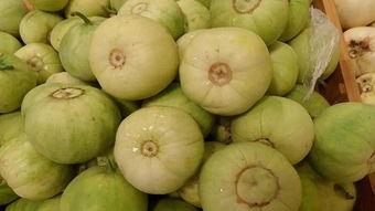 吃瓜入会,揭秘吃瓜入会的神奇之旅