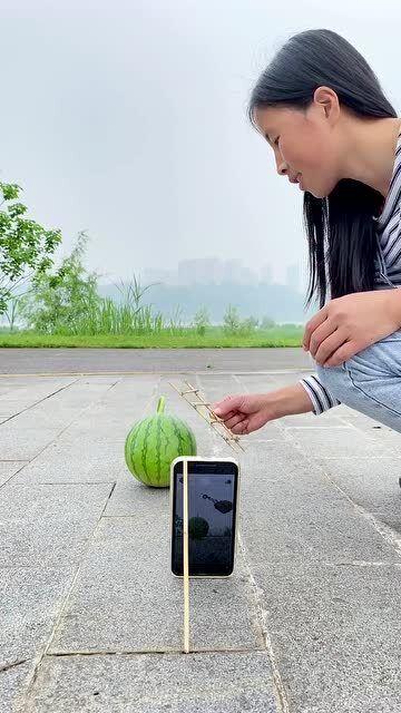 吃瓜拍照图片搞笑,吃瓜拍照，欢乐瞬间尽收眼底