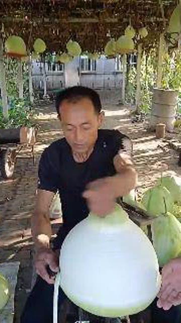 深圳吃瓜哥,揭秘深圳美食圈的那些事儿