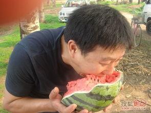 大山测评吃瓜,吃瓜群众眼中的美食盛宴