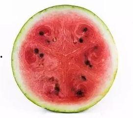 玄学大师科学吃瓜