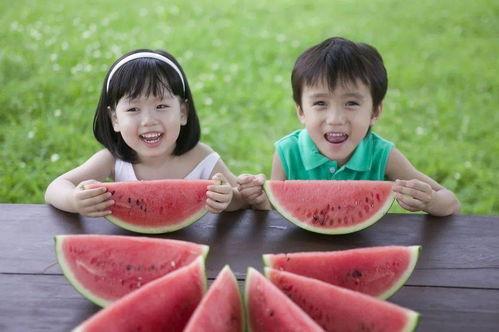 吃瓜小熊这个拍摄手法,吃瓜小熊视角下的趣味生活瞬间