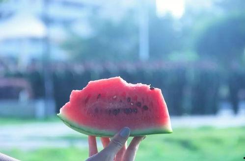 带你吃瓜之风筝