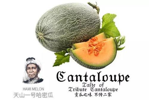 吃瓜的推荐理由