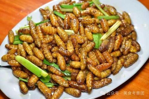 玉溪蚕蛹吃瓜,绿色生态中的瓜果美食新宠