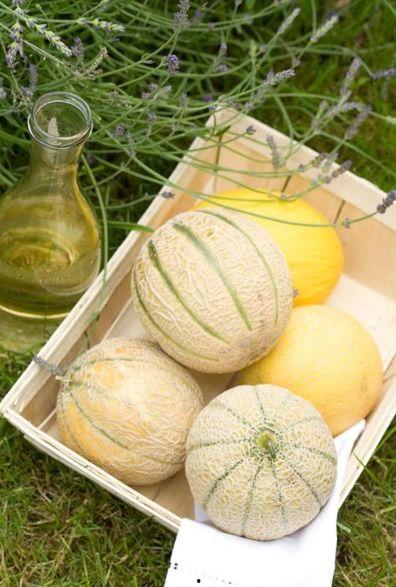 吃瓜二铺,探寻美食背后的故事与传奇