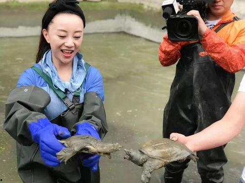 夏邑吃瓜表哥是谁,网络红人的崛起之路